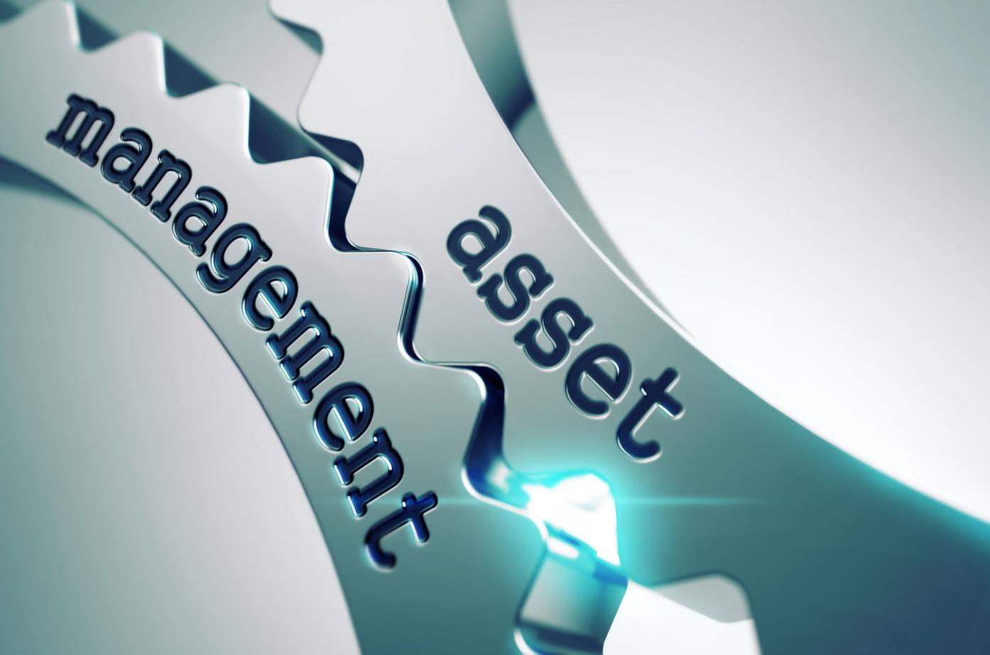 Fixed Business Assets? Asset Types Are